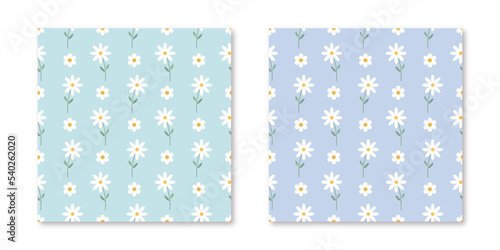 Set blue minty Vector seamless daisy trendy pattern Garden flat flower botanical pastel pattern vector design for fabric, wallpaper and all prints white background color. Cute pattern Small chamomile