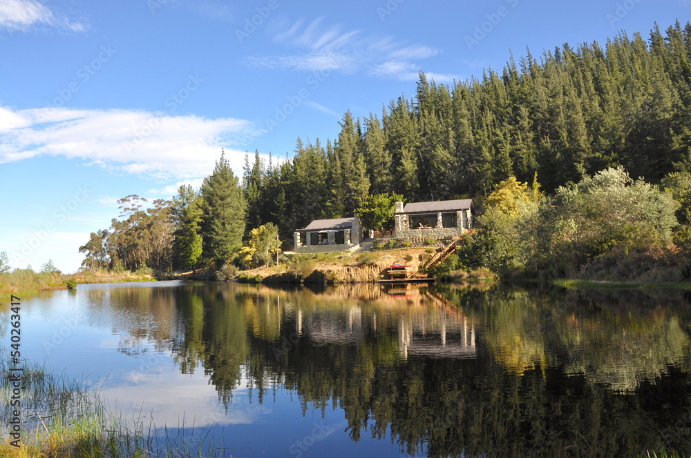 Fototapeta premium Forest cabins