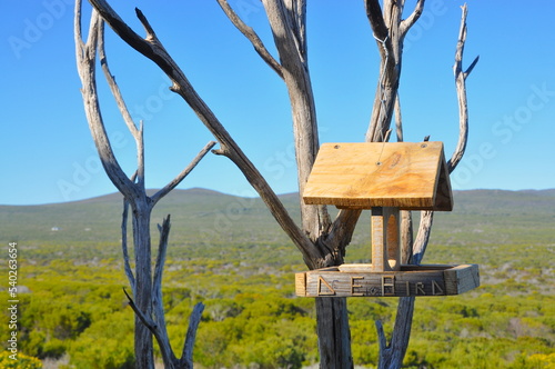 Bird house with landscape in the background