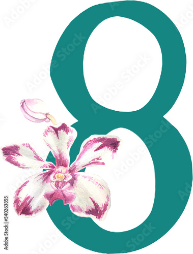 Custom hand drawn vanda orchids alphabet number 8