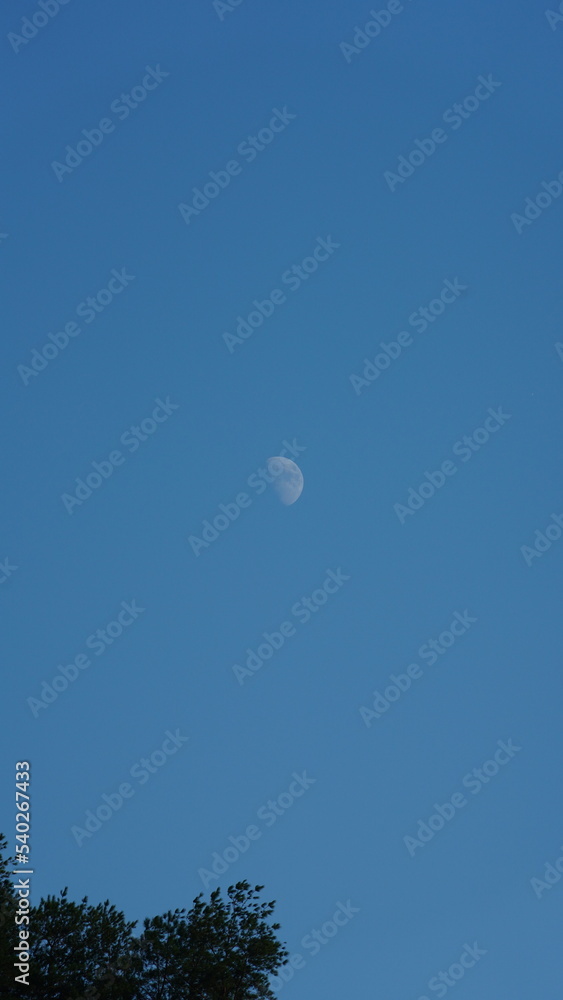 The moon sky view with the round moon in the sky The moon sky view with the round moon in the sky