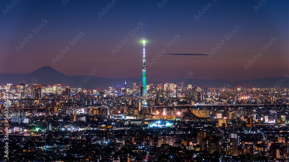 Panoramic view of Tokyo area cityscape with Tokyo skytree at night.