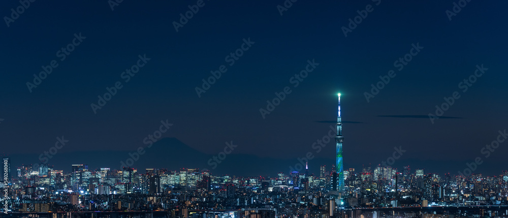 Panoramic view of greater Tokyo are city scape with Tokyo skytree at night