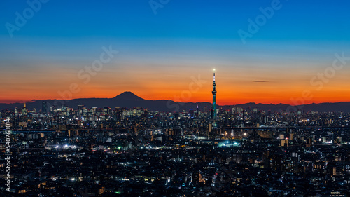 Perfect Magic hour image of Tokyo cityscape with Tokyo skytree.