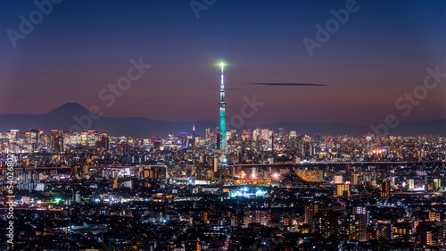 Panoramic view of Tokyo area cityscape with Tokyo skytree at night. © hit1912