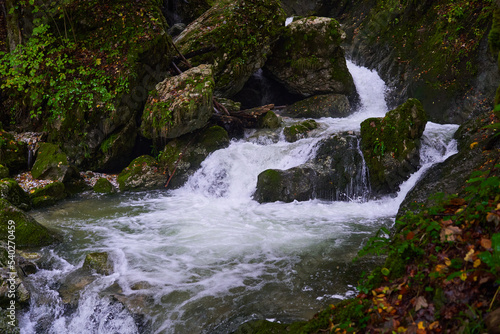 Fototapeta Naklejka Na Ścianę i Meble -  River rapids in the forest