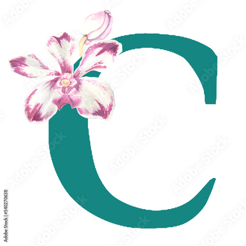 Custom hand drawn vanda orchids alphabet letter C
