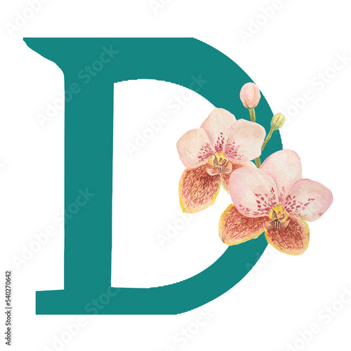 Custom hand drawn vanda orchids alphabet letter D