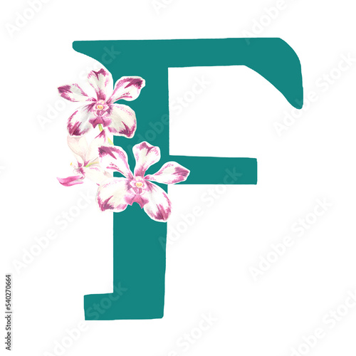 Custom hand drawn vanda orchids alphabet letter F