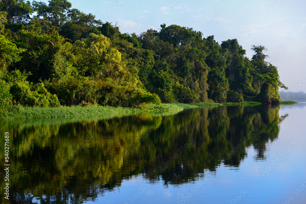 Early morning on the dense, rainforest-lined Guaporé-Itenez river, near the remote village of Remanso, Beni Department, Bolivia, on the border with Rondonia state, Brazil
