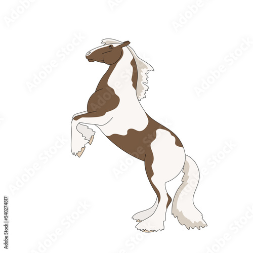 Tinker performs a trick on his hind legs, vector illustration