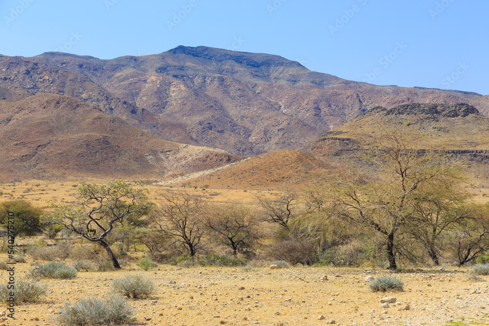 African savannah during a hot day. Namibia. African savannah during a hot day. Namibia.