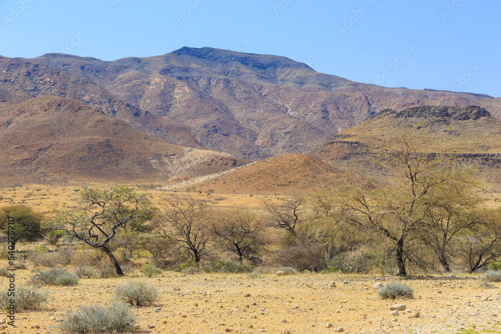 African savannah during a hot day. Namibia.