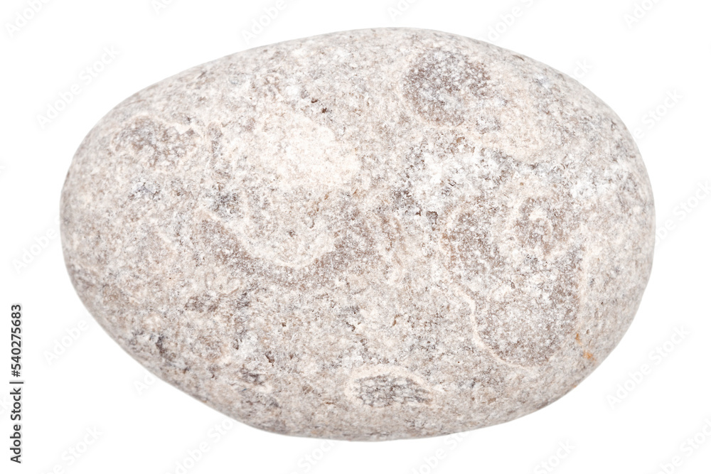 Top view of single gray pebble Top view of single gray pebble