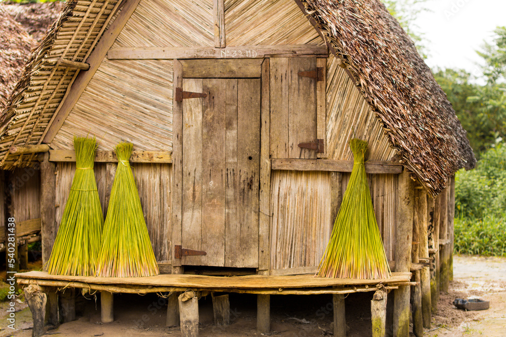 Drying Grass, Madagascar - obrazy, fototapety, plakaty 