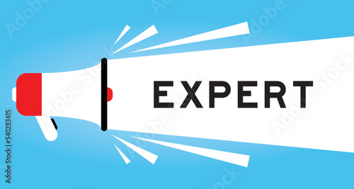 Color megaphone icon with word expert in white banner on blue background