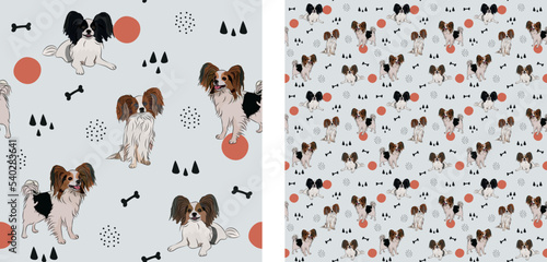Seamless dog pattern, winter Christmas texture. Square format, t-shirt, poster, packaging, textile, socks, textile, fabric, decoration, wrapping paper. Trendy hand-drawn Papillon dog breed.Wrapping.