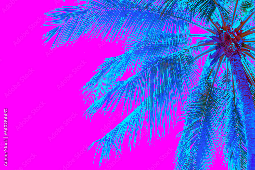 Bright blue holographic neon colored palm tree in abstract style on pink background. Night club beach party flyer template. Retro style creative summer design concept. Open composition. Copy space.