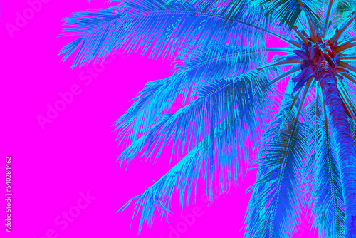 Bright blue holographic neon colored palm tree in abstract style on pink background. Night club beach party flyer template. Retro style creative summer design concept. Open composition. Copy space. © Aleksandra Konoplya