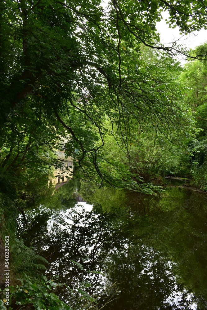 yellow building hiding near Water of Leith in the green forest at Dean village Edinburgh UK, Green background of forest , stream and yellow house yellow building hiding near Water of Leith in the green forest at Dean village Edinburgh UK, Green background of forest , stream and yellow house
