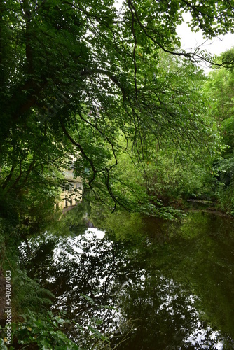 yellow building hiding  near Water of Leith  in the  green forest at Dean village Edinburgh  UK, Green background of forest , stream  and yellow house © decha