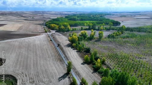 Landscape of Choperas (Populus sp.) in autumn in the river Eresma and the hermitage of Ntra. Señora las Vegas. Aerial view from a drone. The Orchards. Province of Segovia. Castile and Leon. Spain. Eur photo