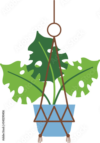 Hanging Plant Vector Decorative