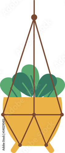 Hanging Plant Vector Decorative