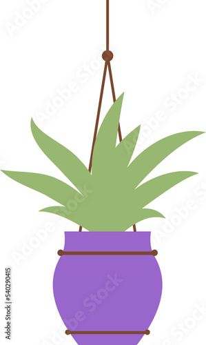 Hanging Plant Vector Decorative
