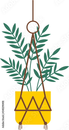 Hanging Plant Vector Decorative
