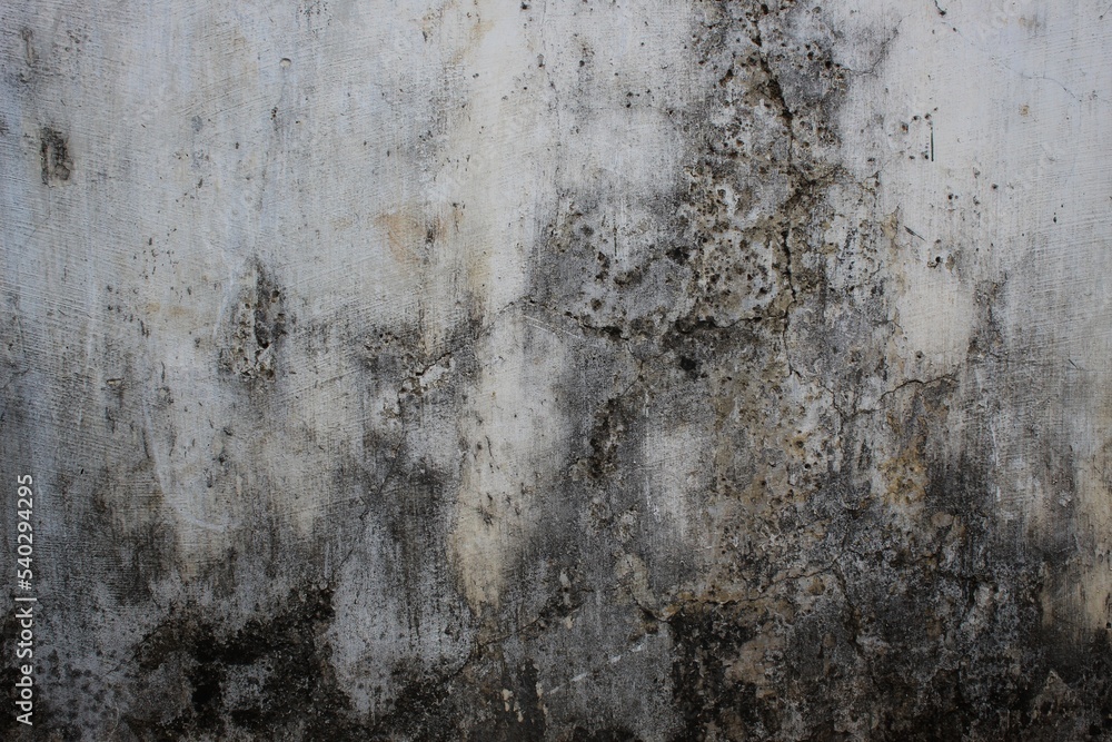Fototapeta premium cracked and mossy wall background, polished gray concrete grunge textured wall, rough wall texture background, damaged dirty mossy wall surface