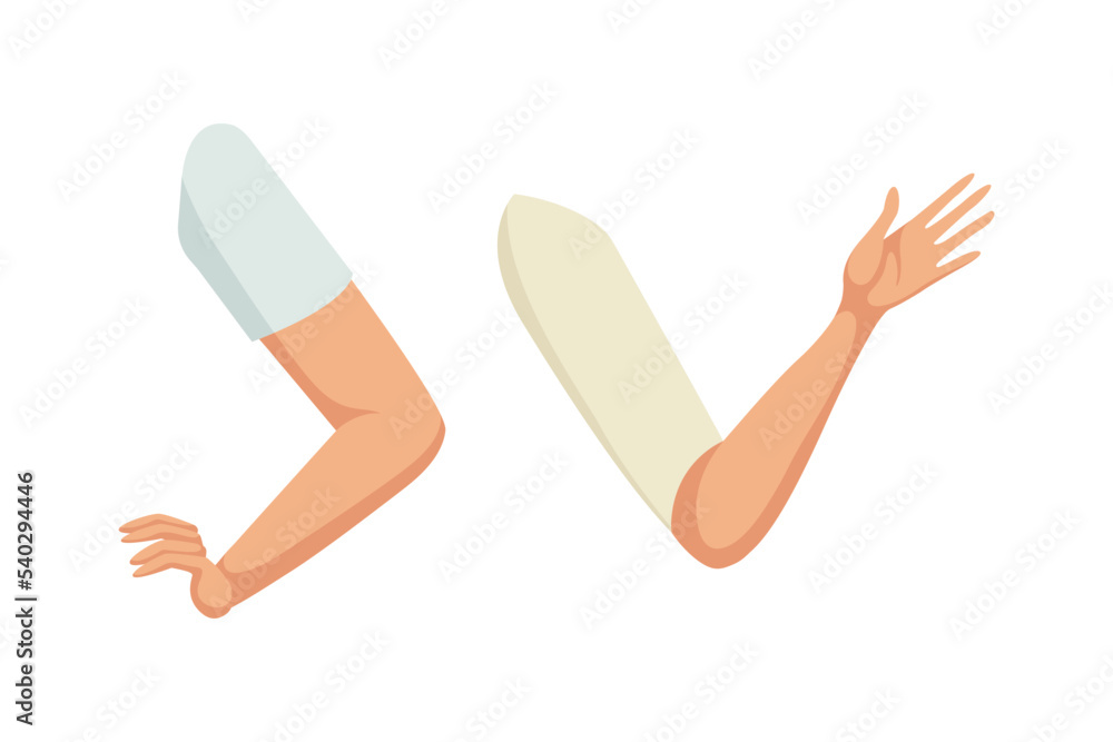 Woman Character Arms as Constructor with Separated Body Part Vector Set Woman Character Arms as Constructor with Separated Body Part Vector Set