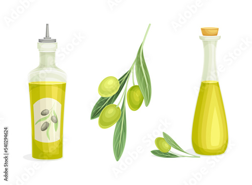 Olive Green Branch and Oil in Glass Jar Vector Set