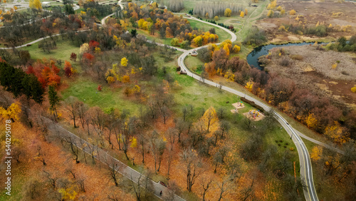 Fototapeta Naklejka Na Ścianę i Meble -  Autumn city park. Trees with colorful leaves. A cycle path winds between the trees. Autumn landscape. Aerial photography.