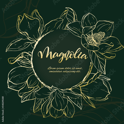 Golden sketch magnolia blossom with black background