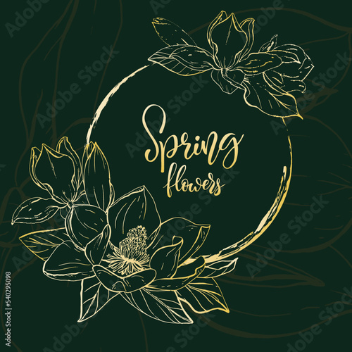 Golden sketch magnolia blossom with black background