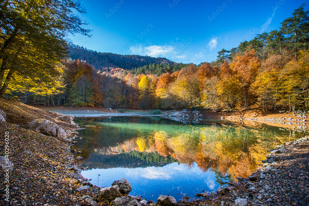 Obraz premium autumn landscape in the mountains