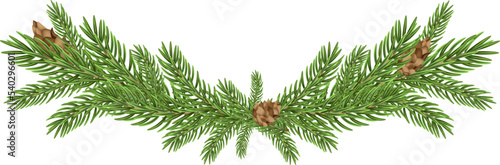 Stampa su tela Vector Christmas tree branches on a white background