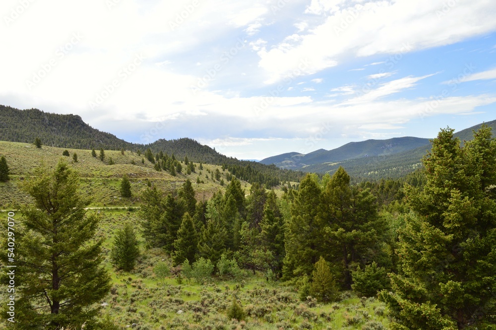 Mountain Valley View
