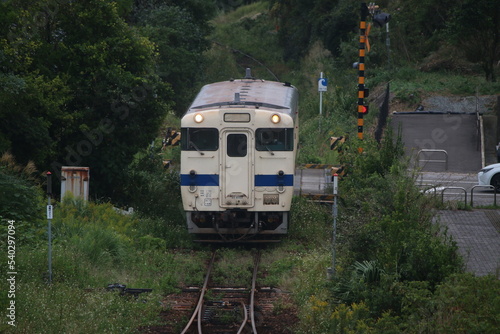 Wallpaper Mural 日南線を走行する列車 Torontodigital.ca