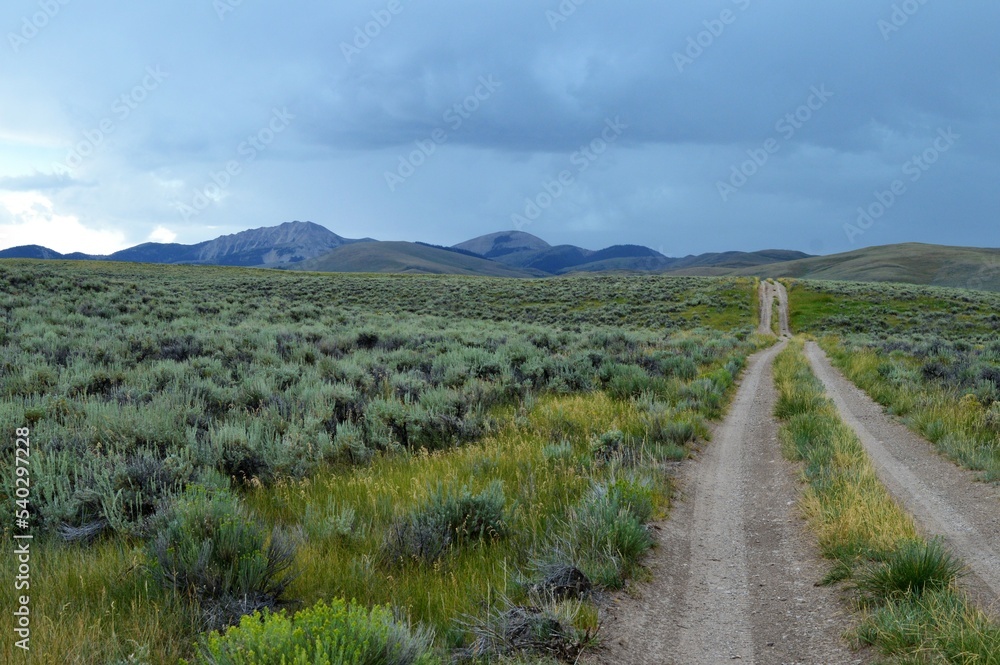 Rural Mountain Road through a sagebrush meadow