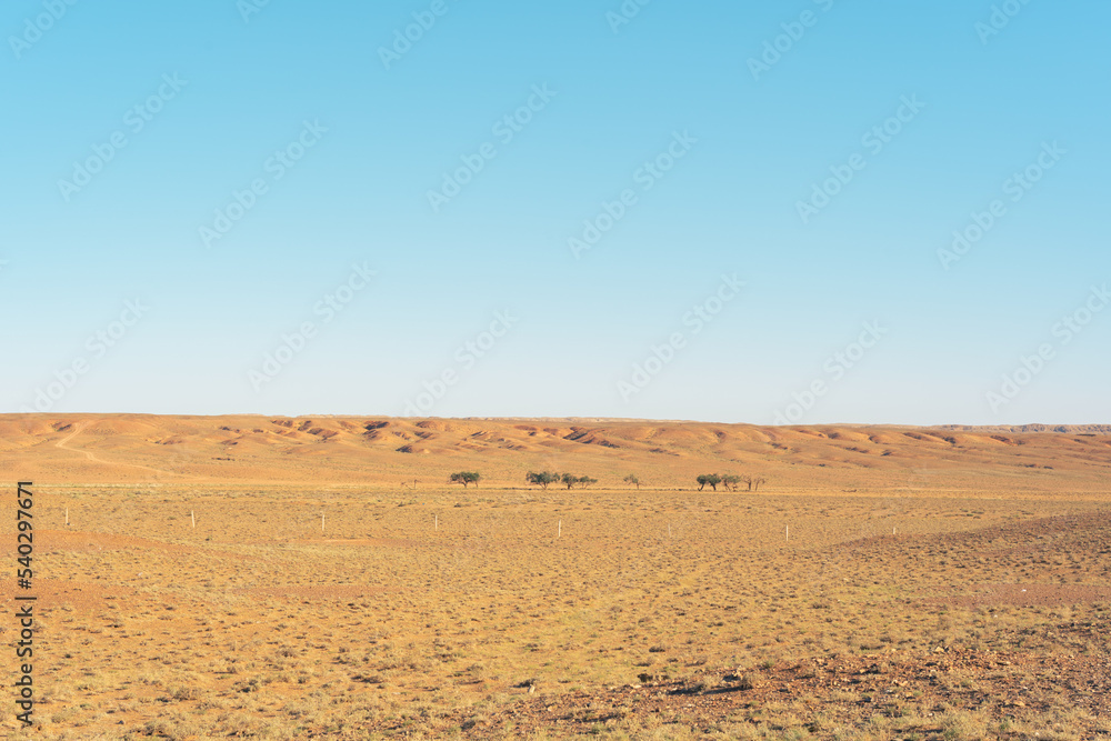 a desert landscape