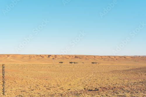 a desert landscape
