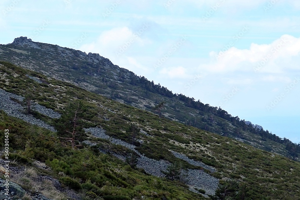 Canchal del lado oeste del alto de las Guarramillas en Navacerrada, España. Acumulación de rocas en la ladera de una montaña por efecto de la meteorización de las cornisas.