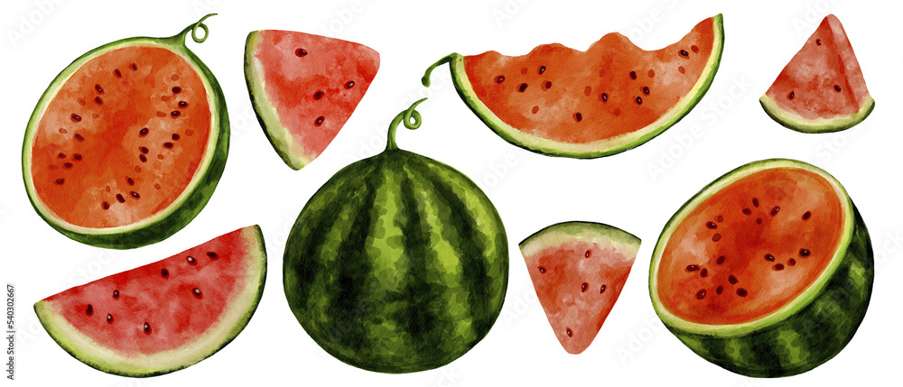 Set of watercolor ripe watermelons. Set of watercolor ripe watermelons.