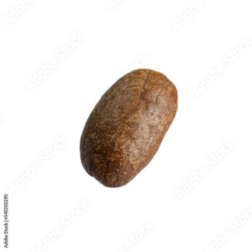 Photo of one coffee bean on white background, roasted bean under macro lens.