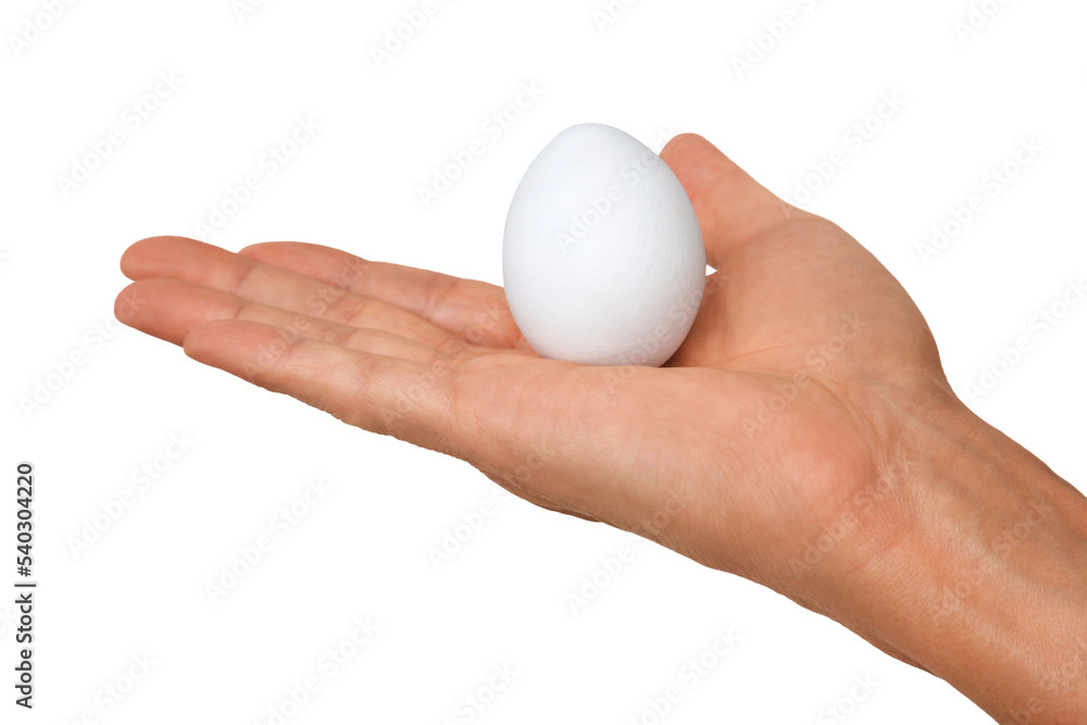 Gesture series: hand holding a chicken egg. Gesture series: hand holding a chicken egg.