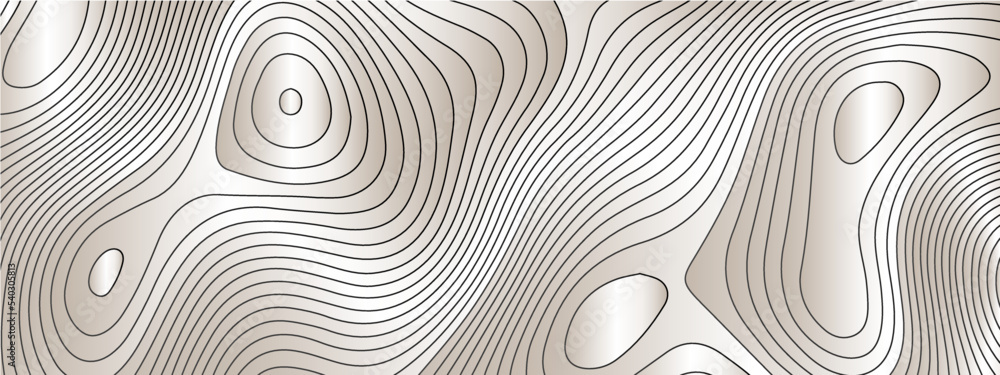 The stylized silver abstract topographic map with lines and circles background. Topographic map and place for texture. Topographic gradient linear background with copy space. Vector illustration