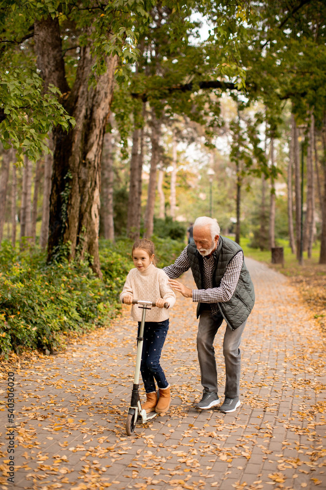 Fototapeta premium Senior man teaching his granddaughter how to ride kick scooter in park