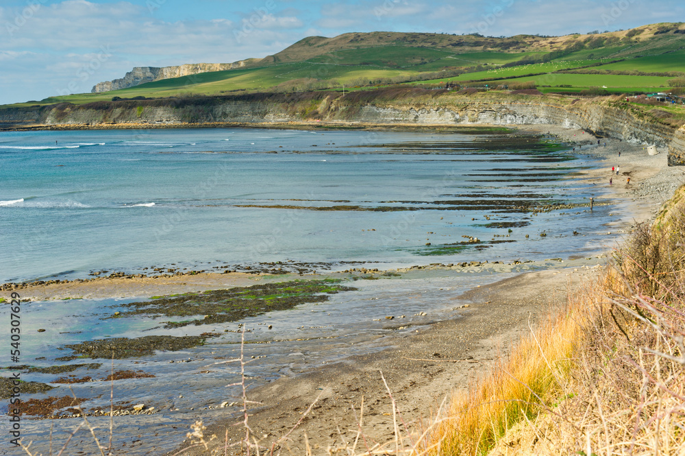 Beach at Kimmeridge Bay, Dorset, England Beach at Kimmeridge Bay, Dorset, England